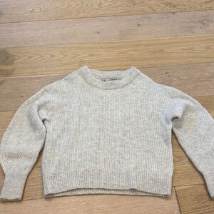 Everlane the cocoon crew in alpaca